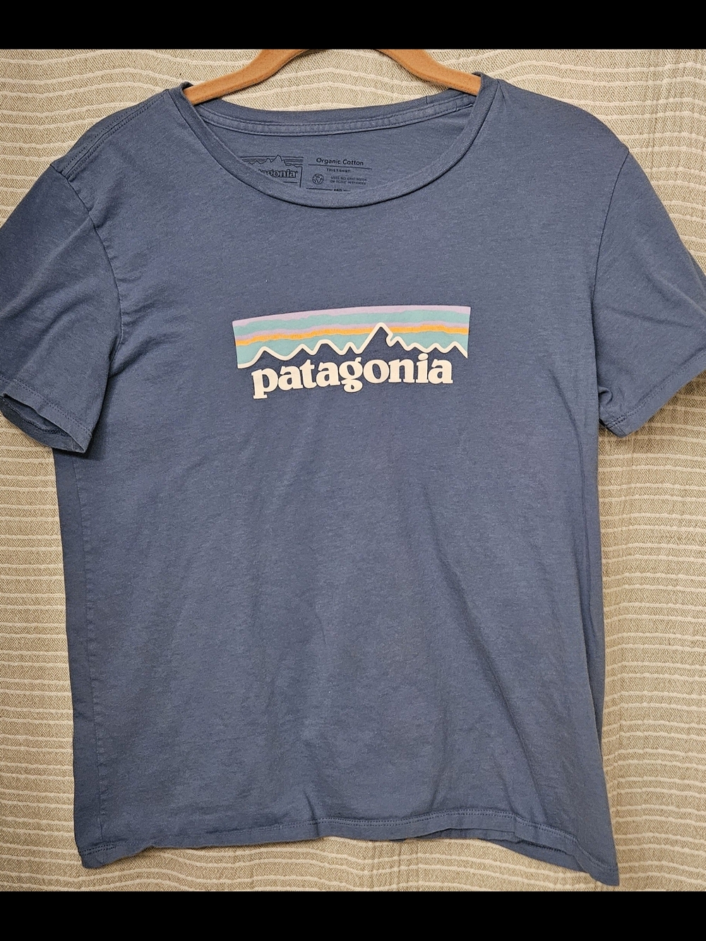 Patagonia Blue Logo Crewneck Tee